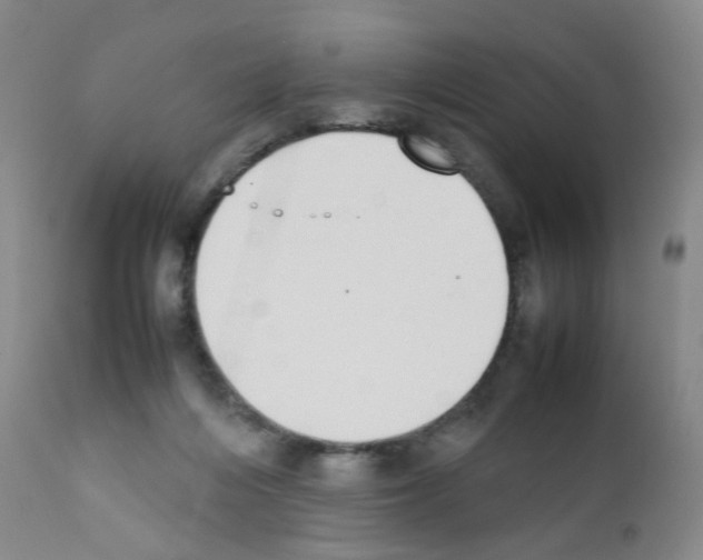 X0000111780216200909031140