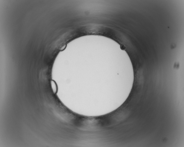 X0000111780217200909031140