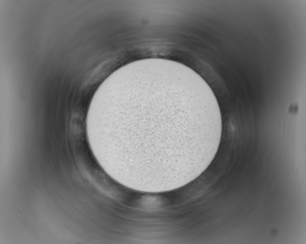 X0000111780218200909031140