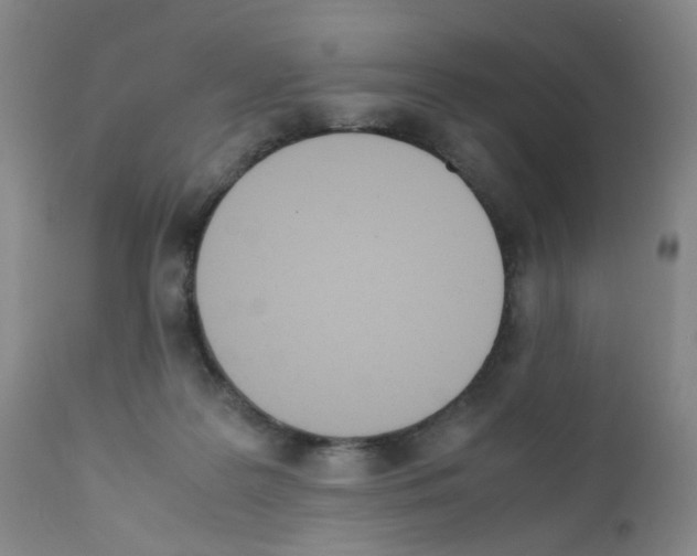 X0000111780219200909031140