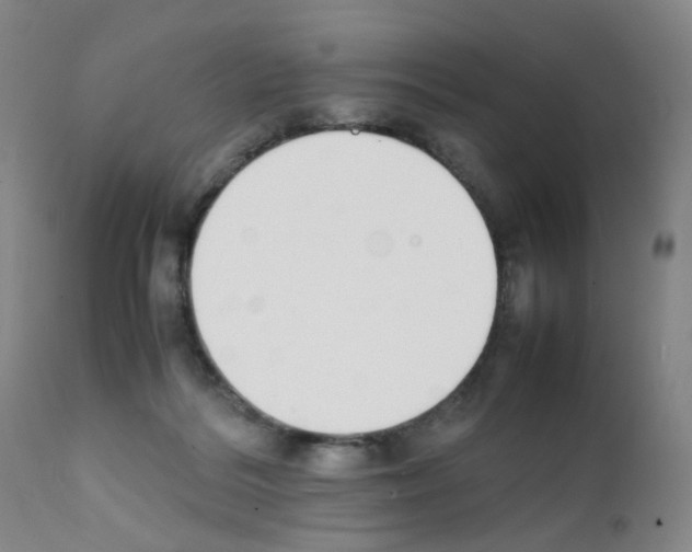 X0000111780220200909031140