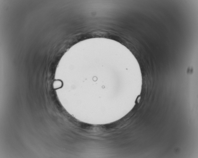 X0000111780223200909031140