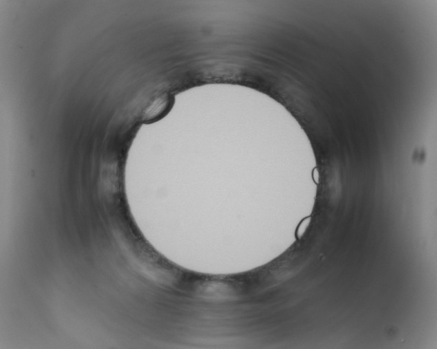 X0000111780224200909031140