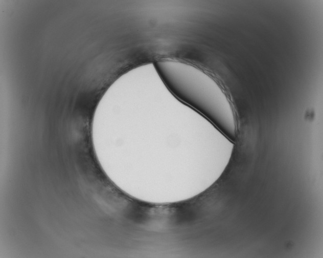 X0000111780225200909031140