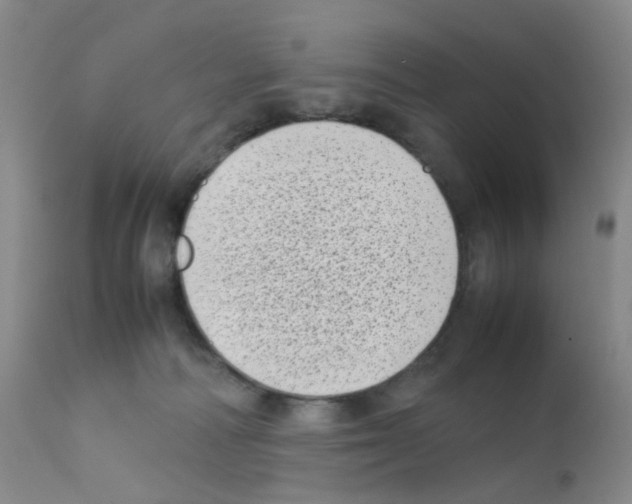 X0000111780226200909031140