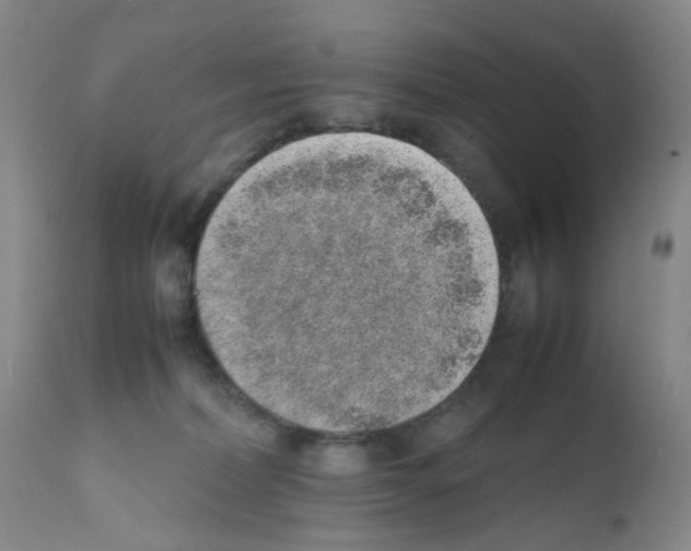 X0000111780228200909031140