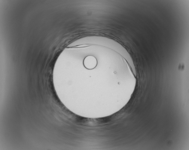 X0000111780229200909031140