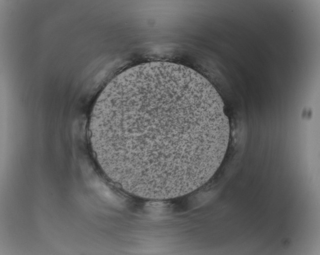 X0000111780231200909031140