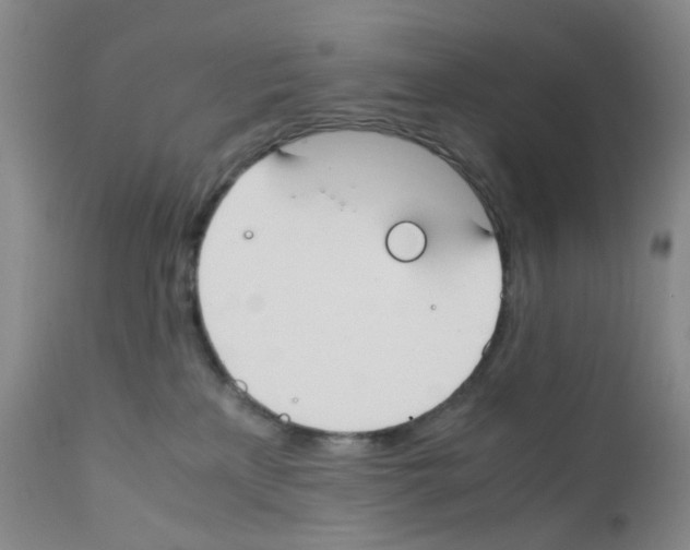 X0000111780233200909031140