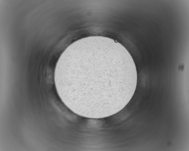 X0000111780234200909031140
