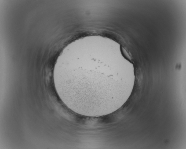X0000111780235200909031140