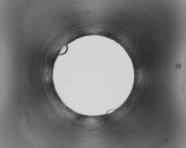 X0000111780236200909031140