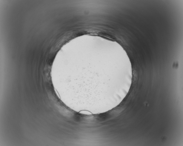 X0000111780237200909031140