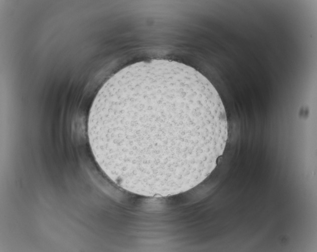 X0000111780238200909031140
