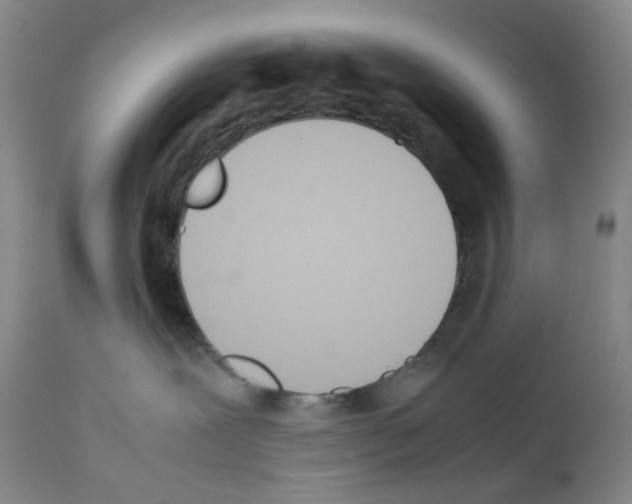 X0000111780239200909031140