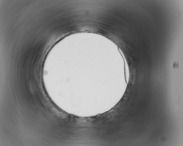 X0000111780241200909031139