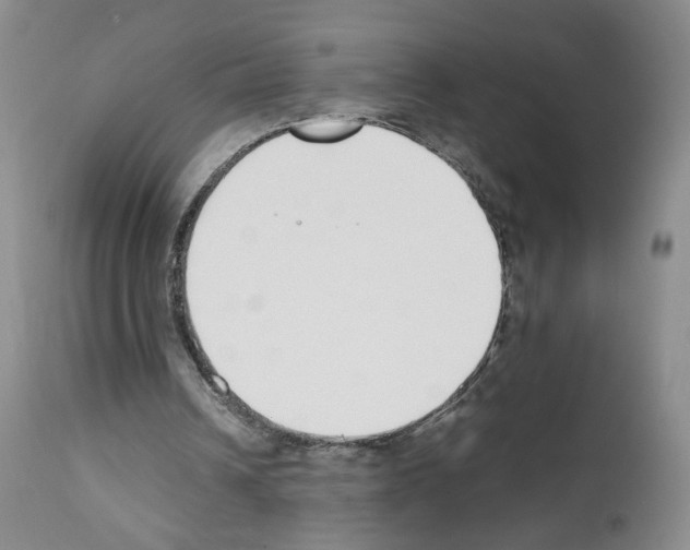 X0000111780242200909031139