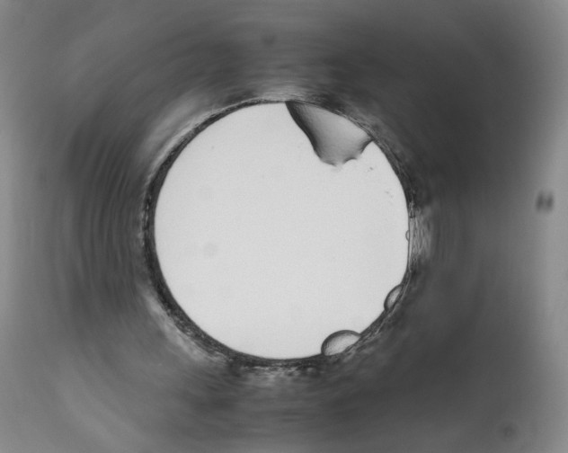 X0000111780243200909031139