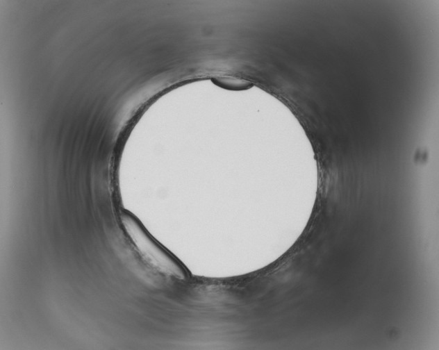 X0000111780244200909031139