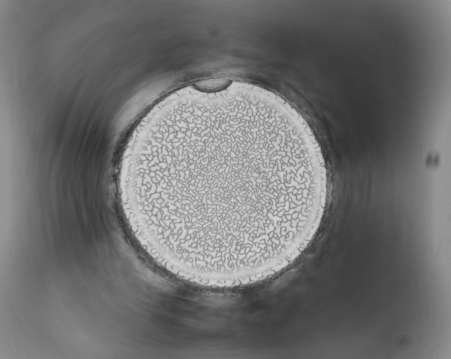 X0000111780245200909031139