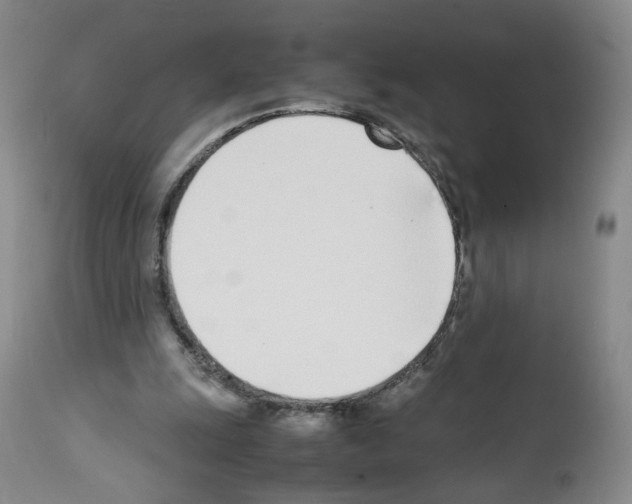 X0000111780247200909031140