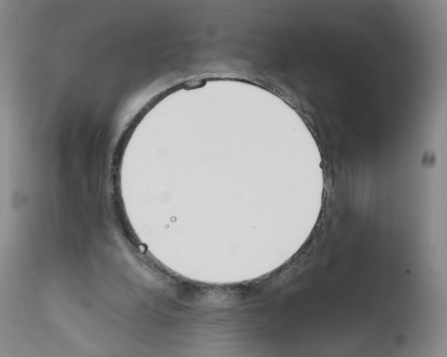 X0000111780248200909031140