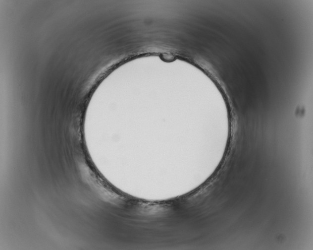 X0000111780249200909031140