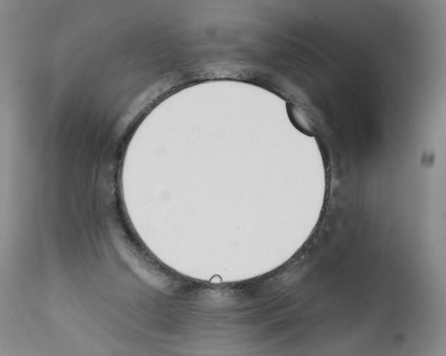 X0000111780250200909031140