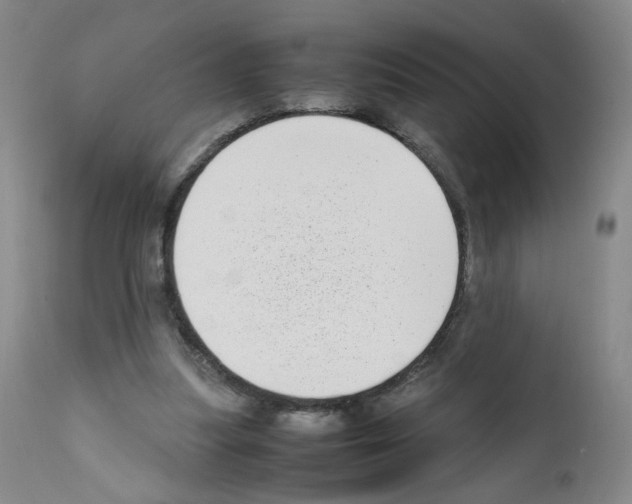X0000111780251200909031140