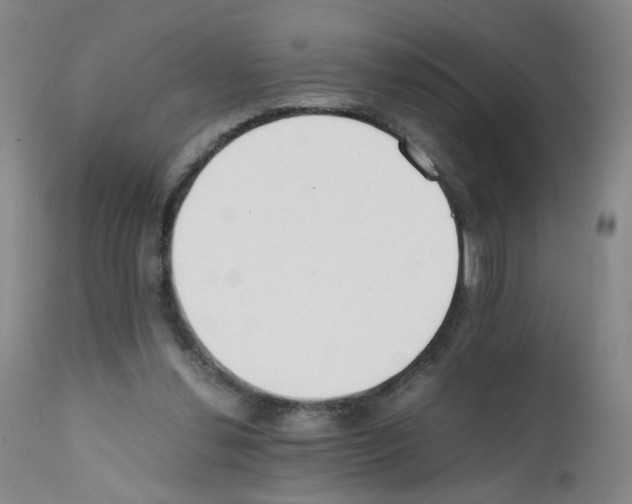 X0000111780252200909031140