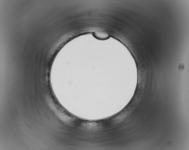 X0000111780253200909031140