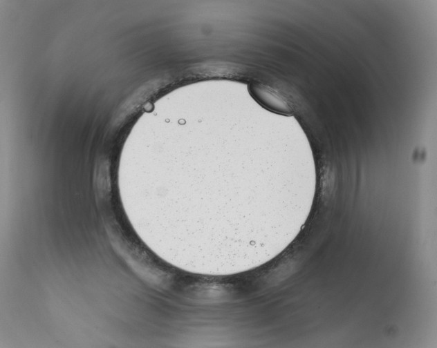 X0000111780254200909031140