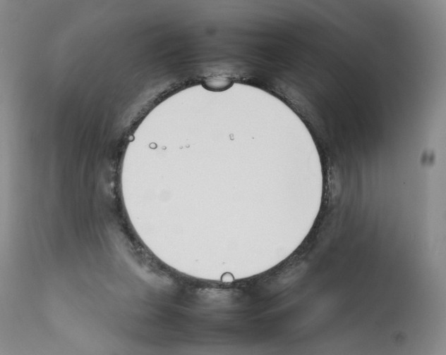 X0000111780255200909031140