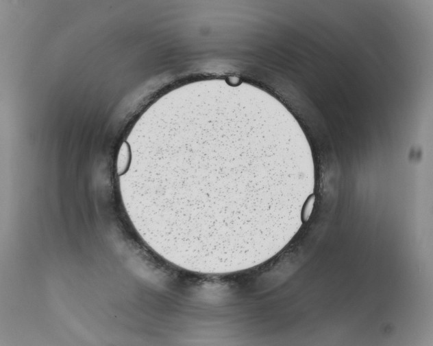 X0000111780256200909031140