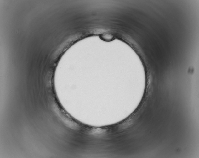 X0000111780257200909031140