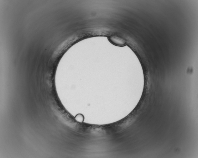 X0000111780258200909031140