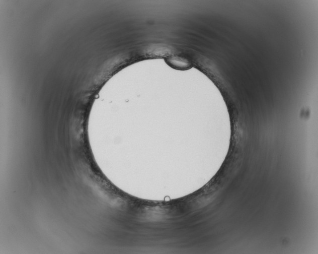 X0000111780259200909031140