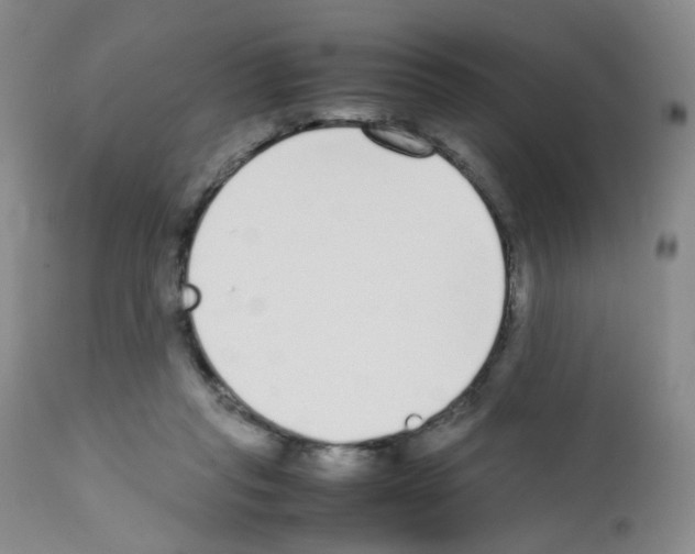 X0000111780261200909031140