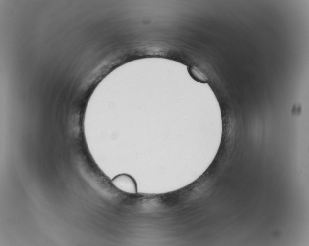 X0000111780262200909031140