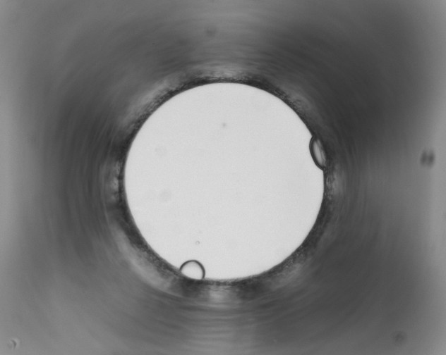 X0000111780264200909031140