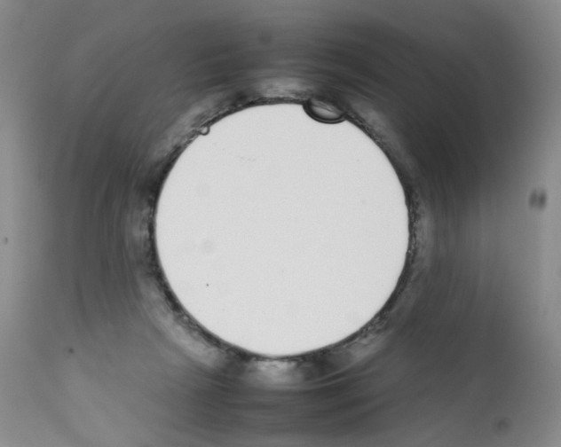 X0000111780265200909031140