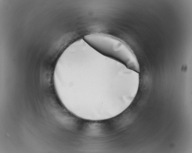X0000111780268200909031140