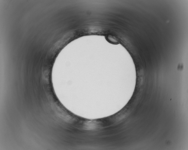 X0000111780269200909031140