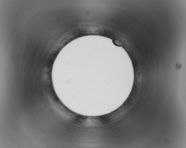 X0000111780270200909031140