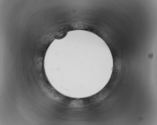 X0000111780271200909031140
