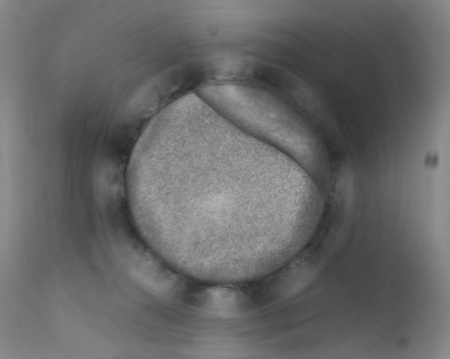 X0000111780272200909031140