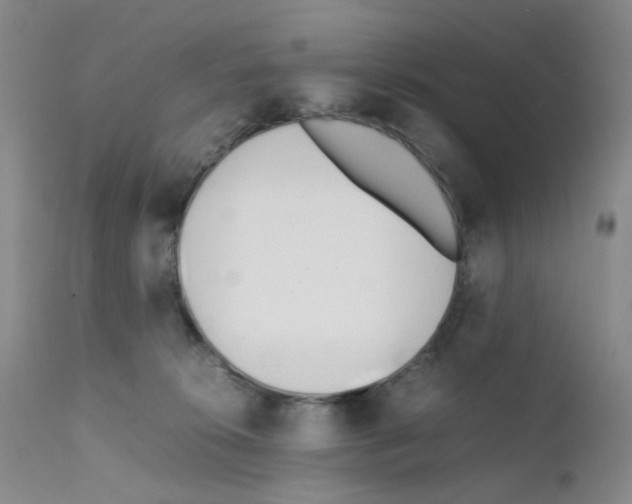X0000111780276200909031140