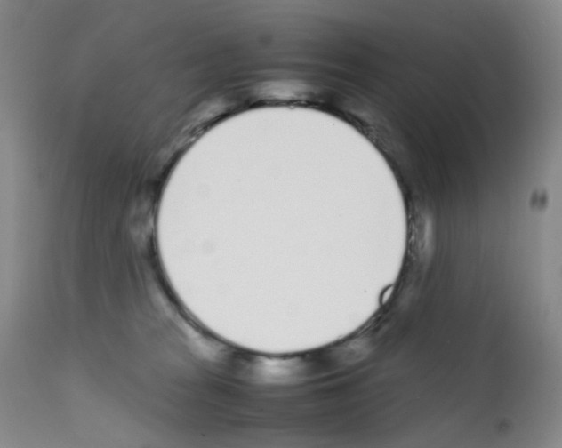 X0000111780277200909031140
