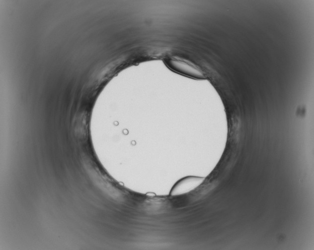 X0000111780280200909031140