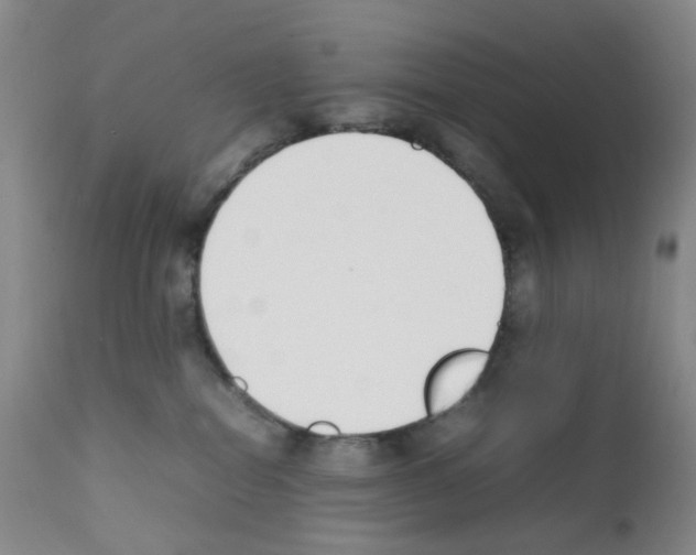 X0000111780282200909031140